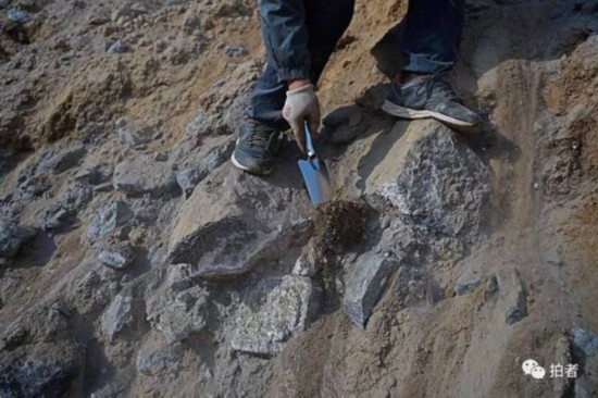 俠客島:甘肅祁連山為何又上了環保頭條?