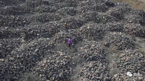 俠客島:甘肅祁連山為何又上了環保頭條?